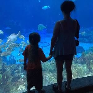 Meet your Posher, Brandy